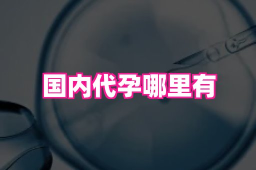 北京助孕网 1