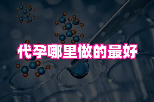 北京助孕网 2