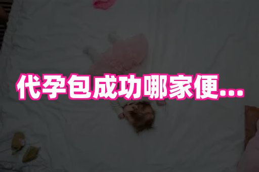北京助孕网 3