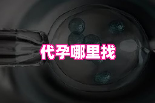 北京助孕网 4